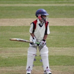 cricket.webp