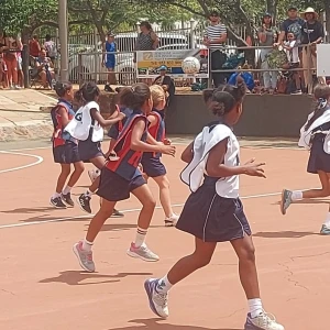netball.webp