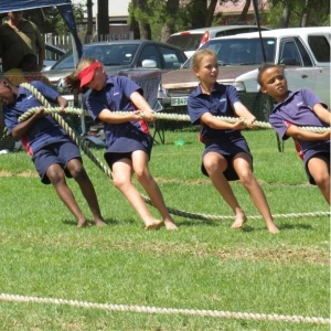 tug-of-war.webp